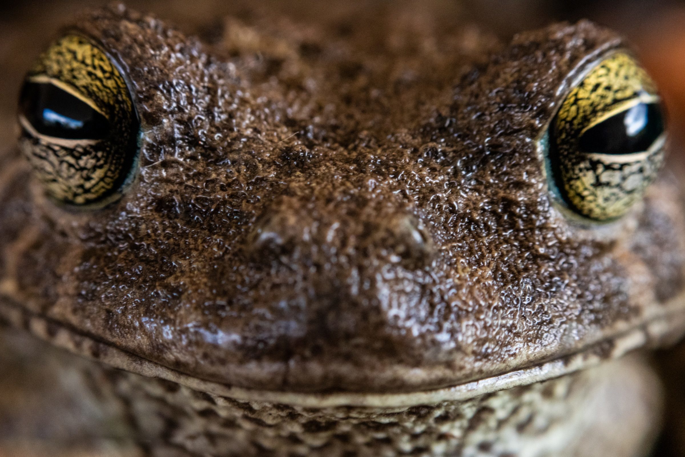Foto de Rodrigo Carvalho Gon&ccedil;alves 27