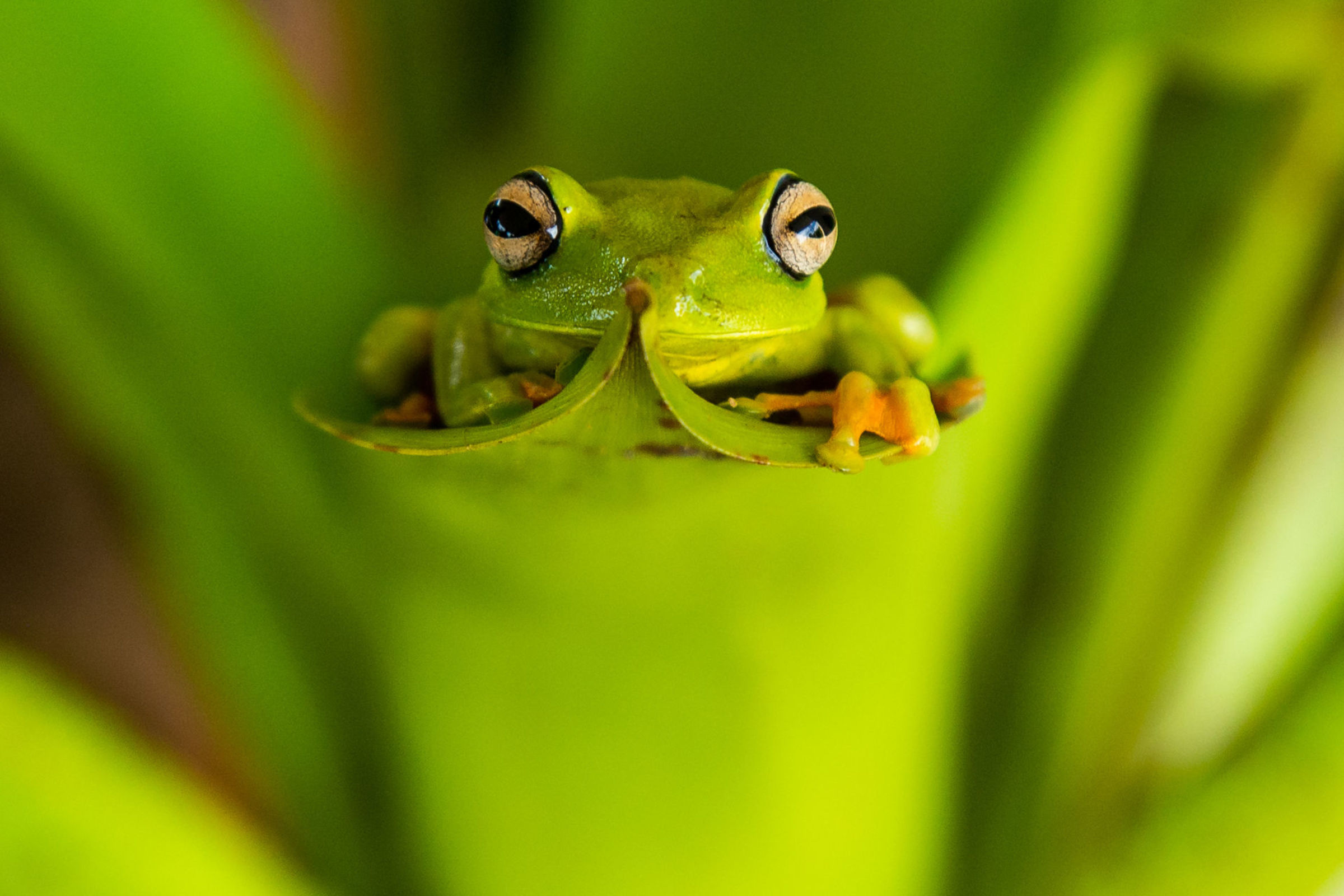 Foto de Rodrigo Carvalho Gon&ccedil;alves 28