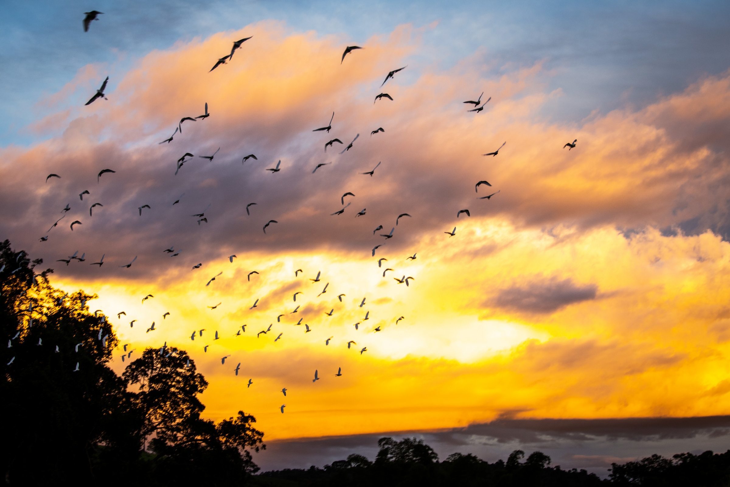 Foto de Rodrigo Carvalho Gon&ccedil;alves 33