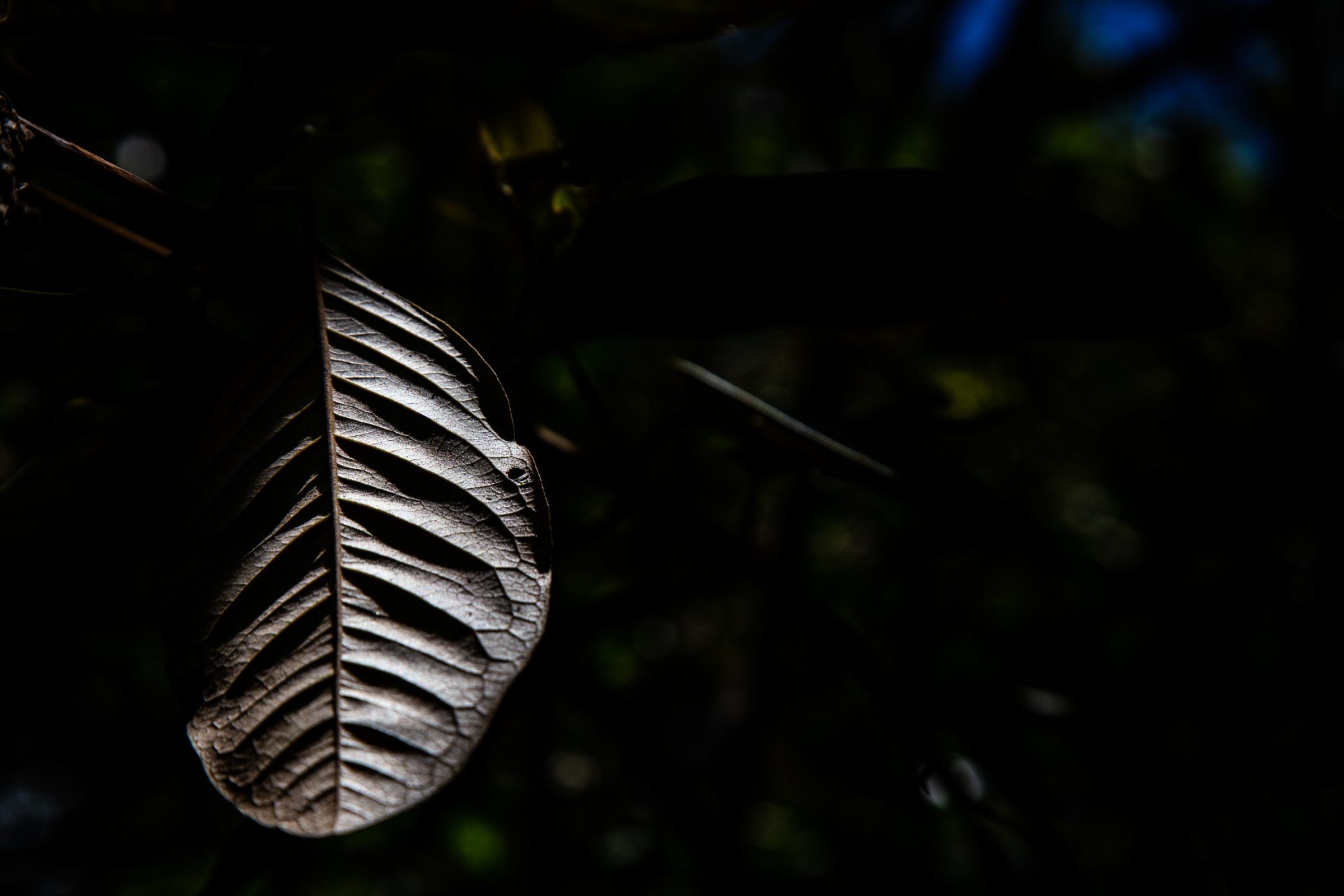 Foto de Rodrigo Carvalho Gon&ccedil;alves 43