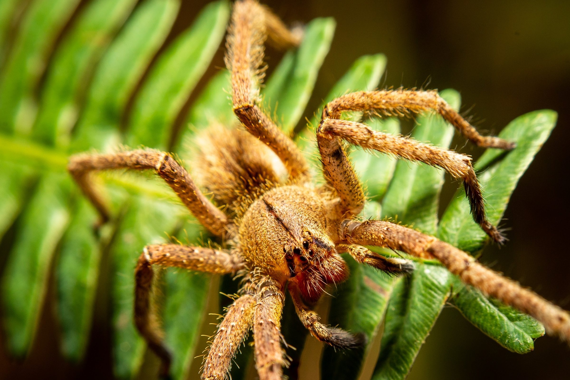 Foto de Rodrigo Carvalho Gon&ccedil;alves 36