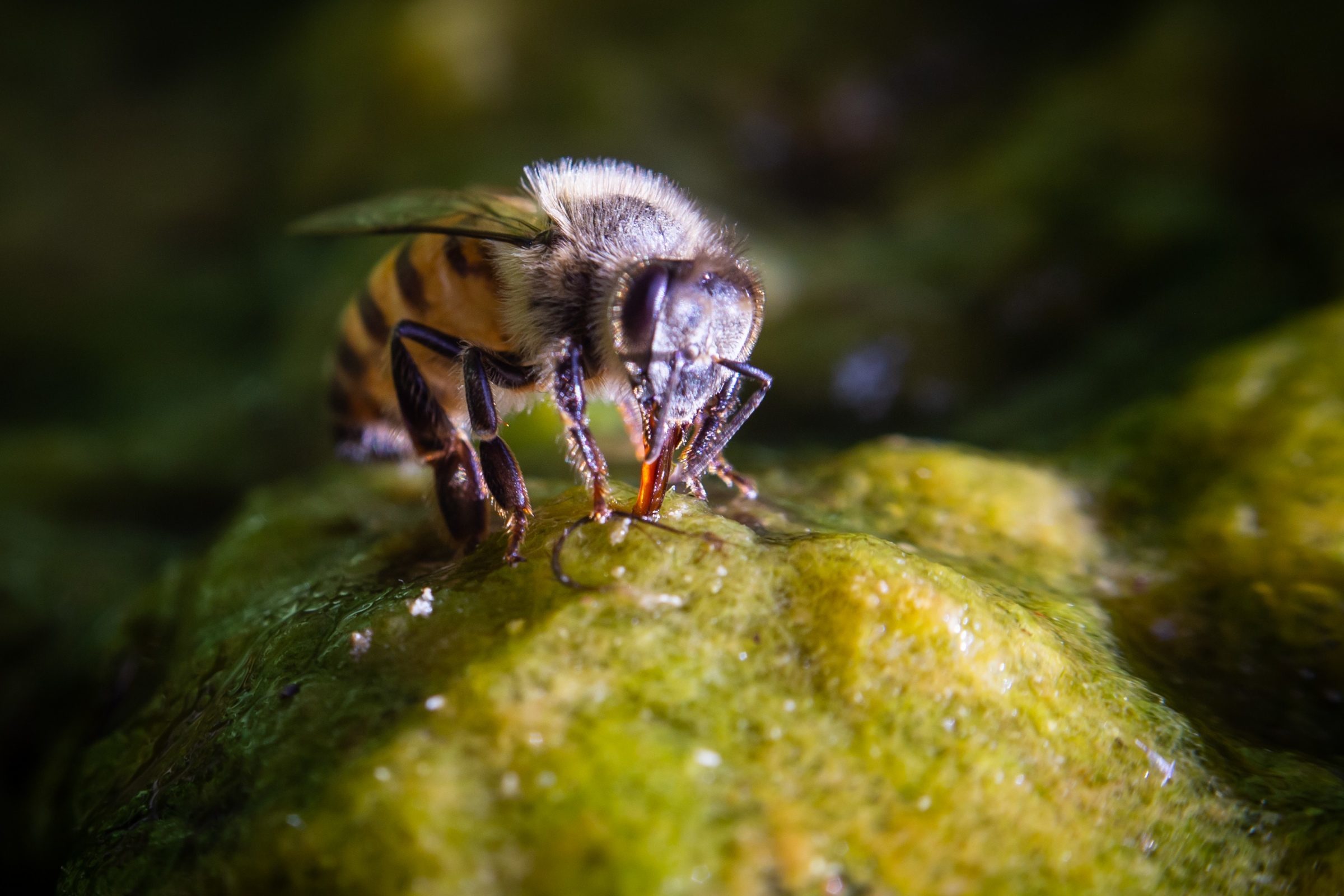 Foto de Rodrigo Carvalho Gon&ccedil;alves 45