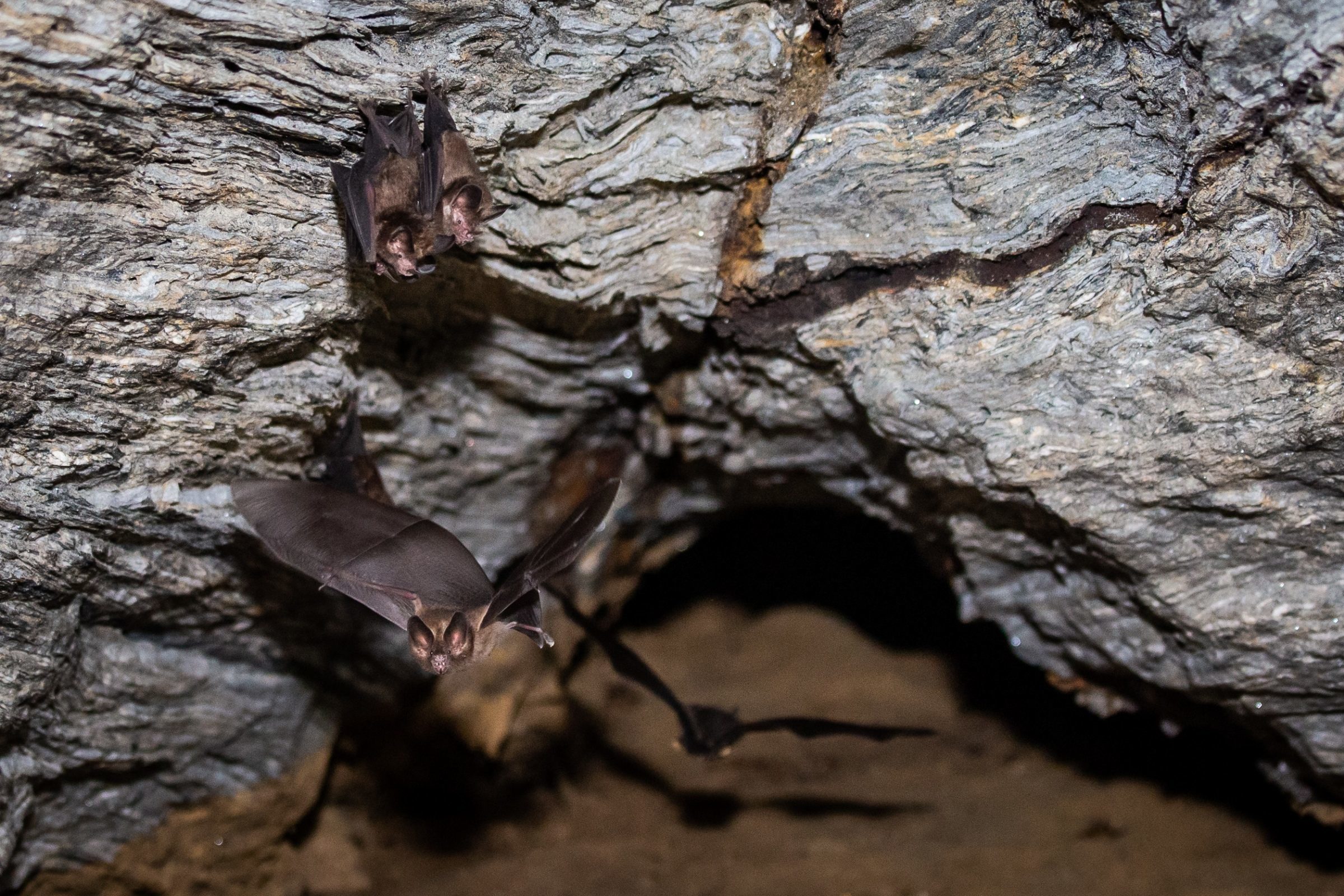 Foto de Rodrigo Carvalho Gon&ccedil;alves 17