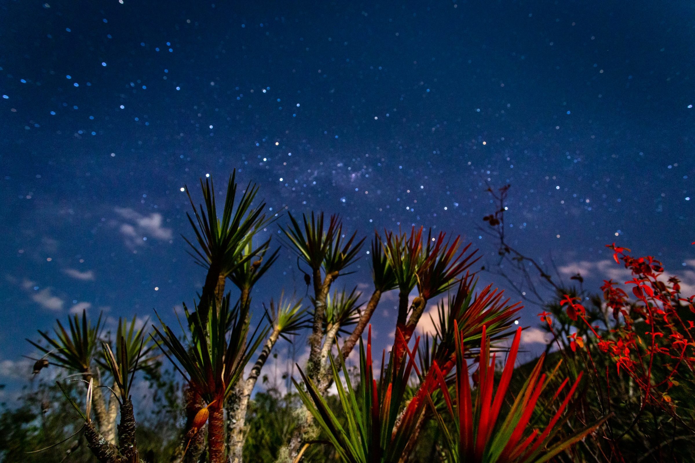 Foto de Rodrigo Carvalho Gon&ccedil;alves 38