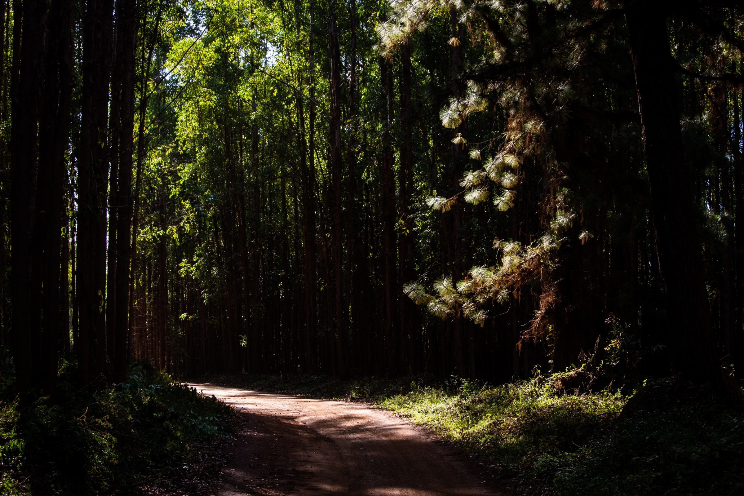 Foto de Rodrigo Carvalho Gon&ccedil;alves 34