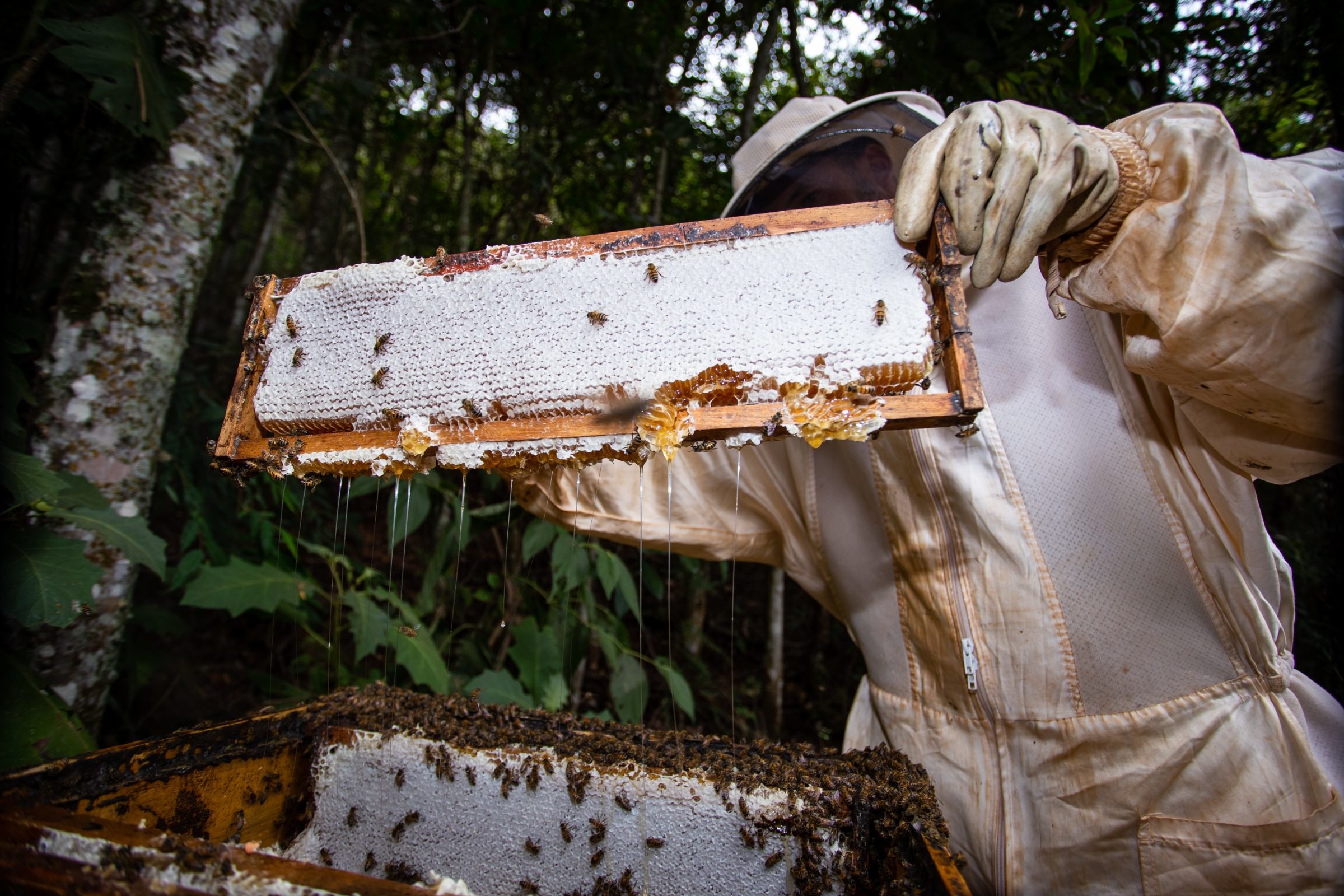 Foto de Rodrigo Carvalho Gon&ccedil;alves 32