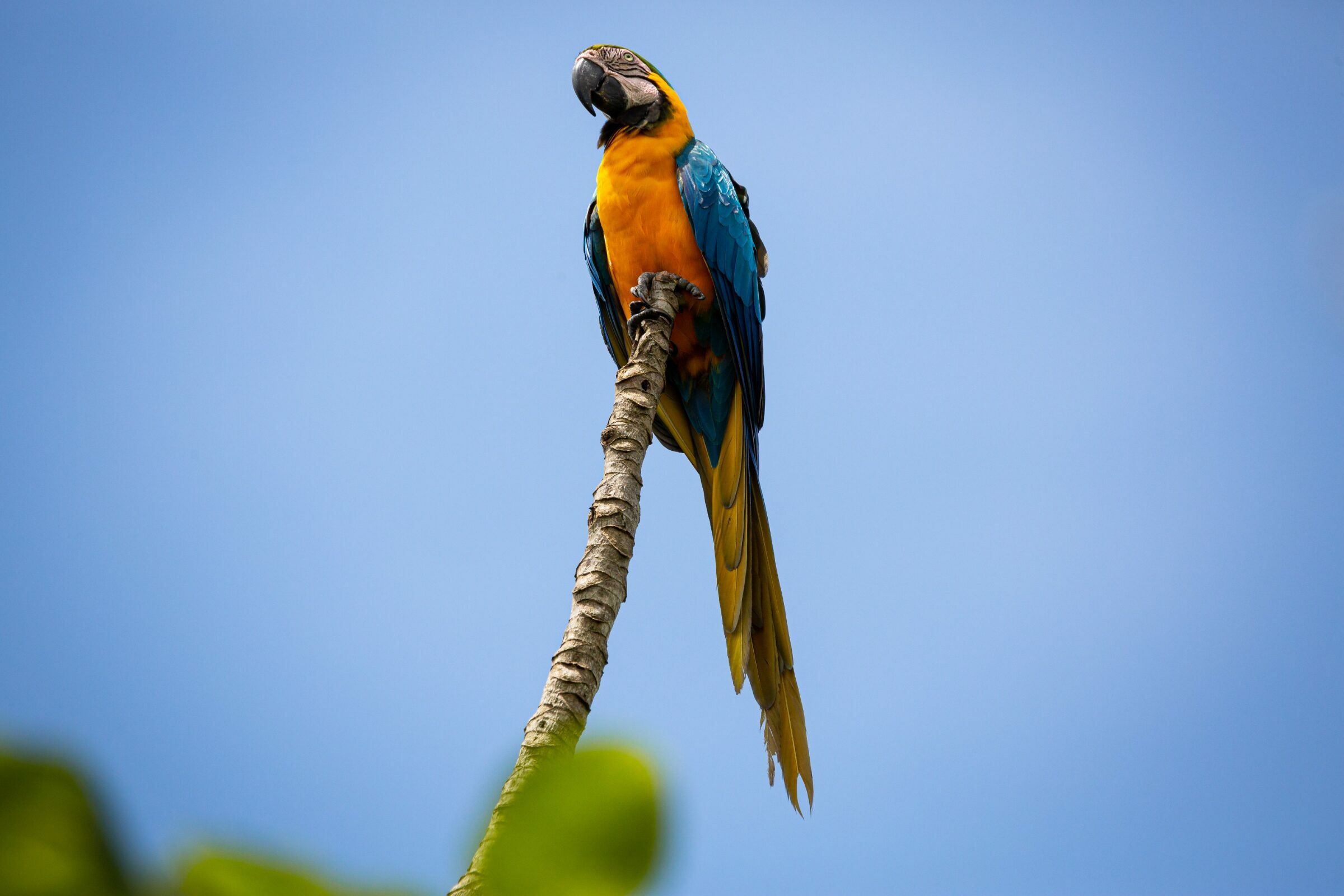 Foto de Rodrigo Carvalho Gon&ccedil;alves 31
