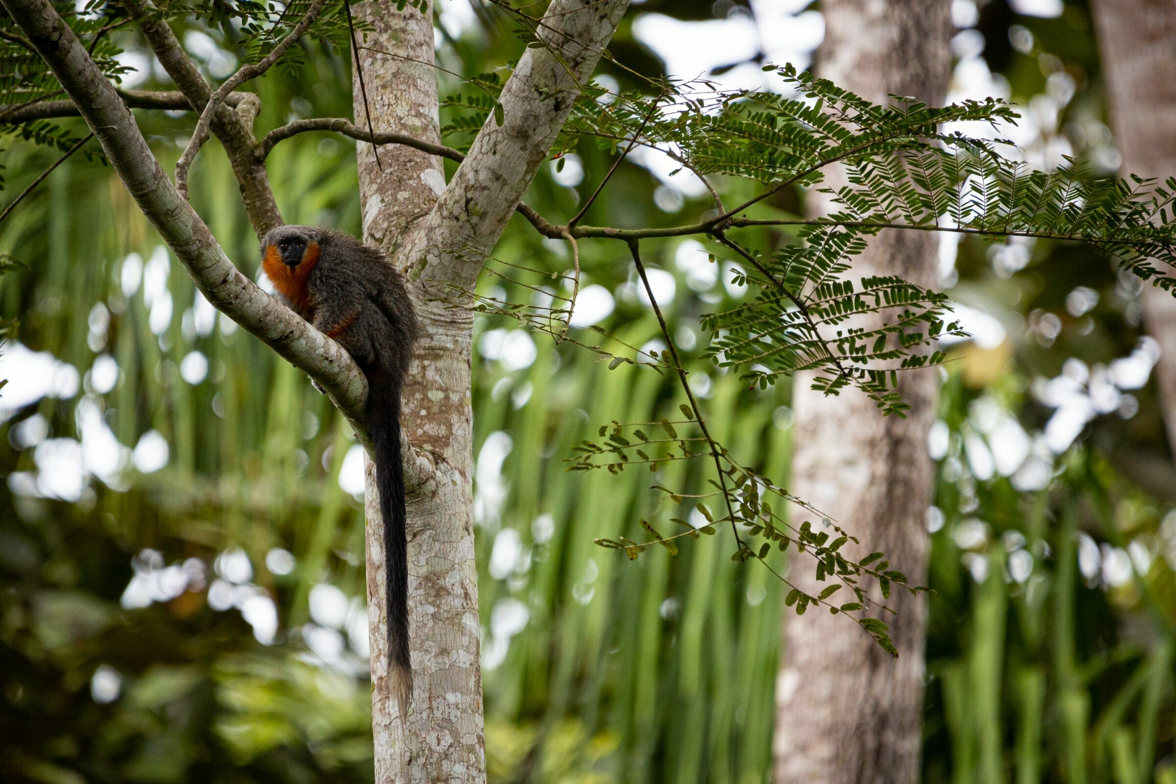 Foto de Rodrigo Carvalho Gon&ccedil;alves 26