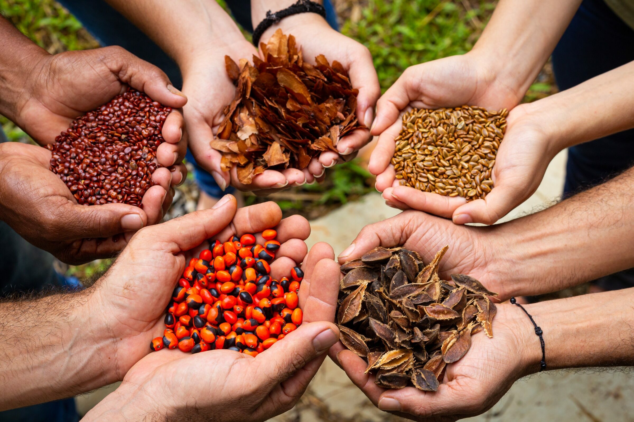 Foto de Rodrigo Carvalho Gon&ccedil;alves 25