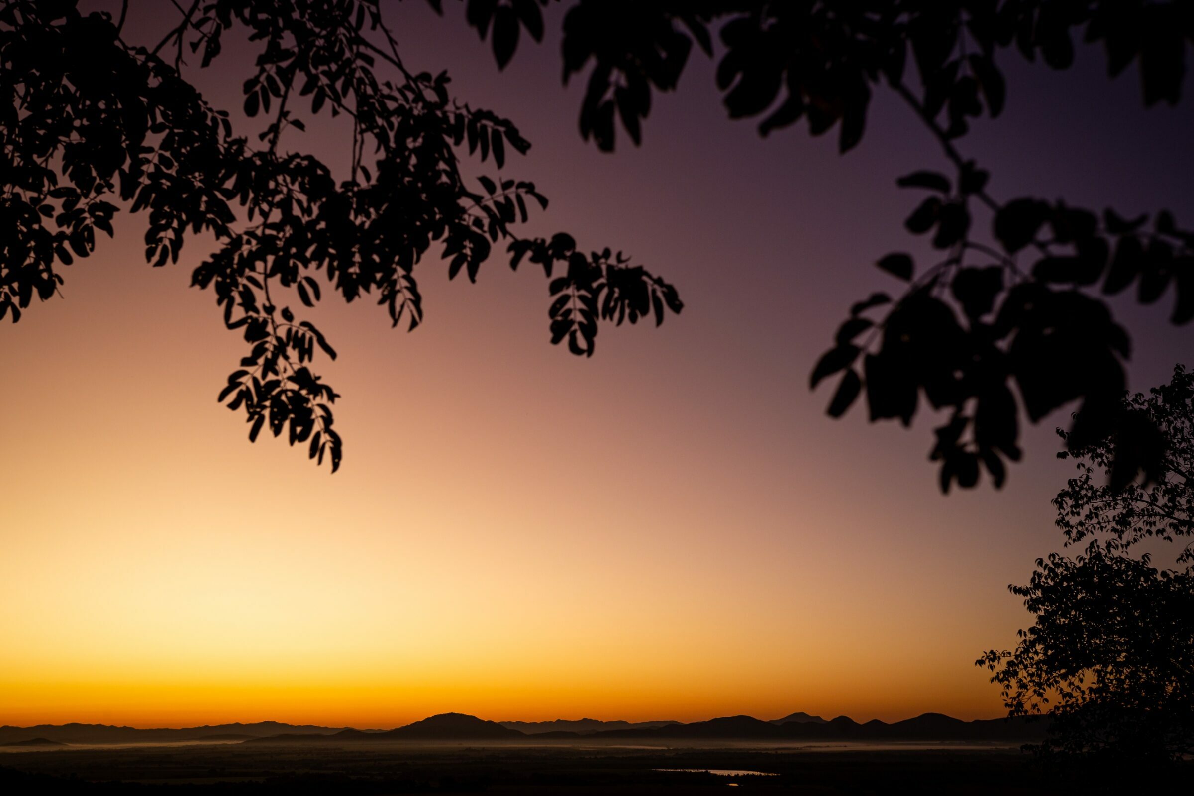 Foto de Rodrigo Carvalho Gon&ccedil;alves 21