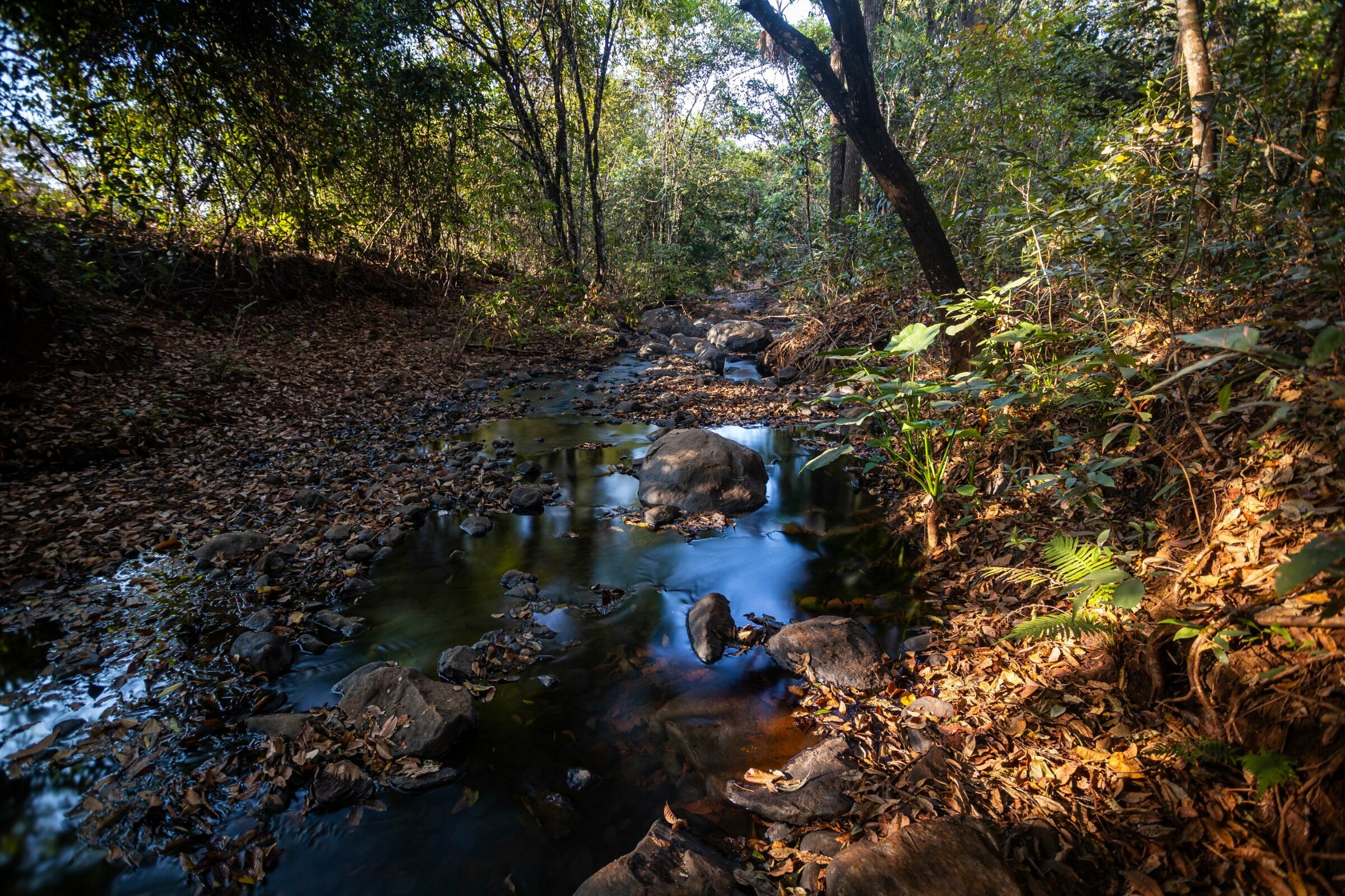 Foto de Rodrigo Carvalho Gon&ccedil;alves 8