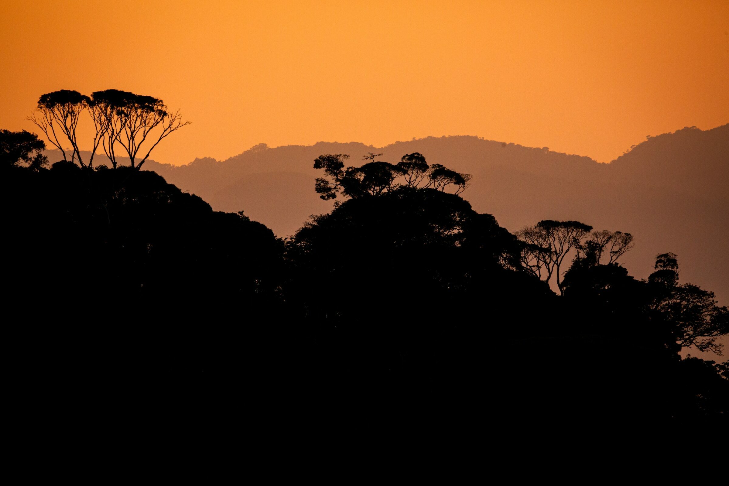 Foto de Rodrigo Carvalho Gon&ccedil;alves 1