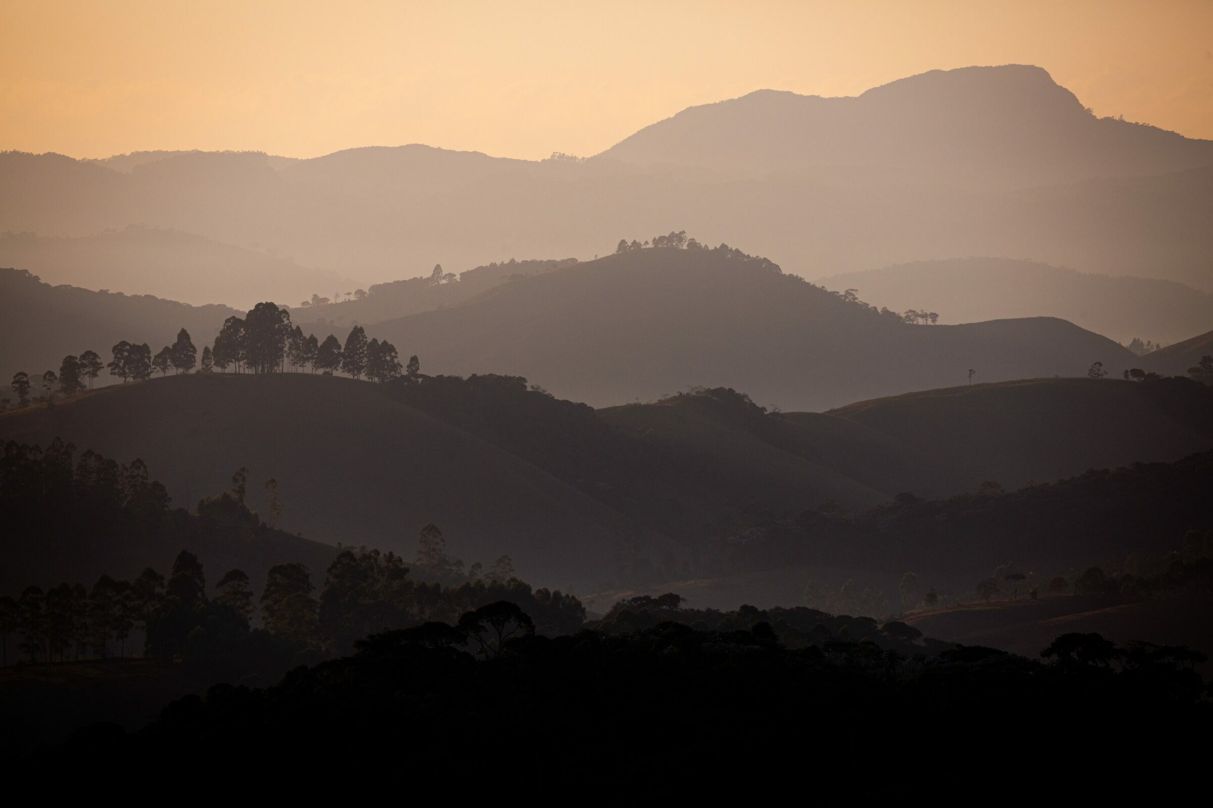 Foto de Rodrigo Carvalho Gon&ccedil;alves 0