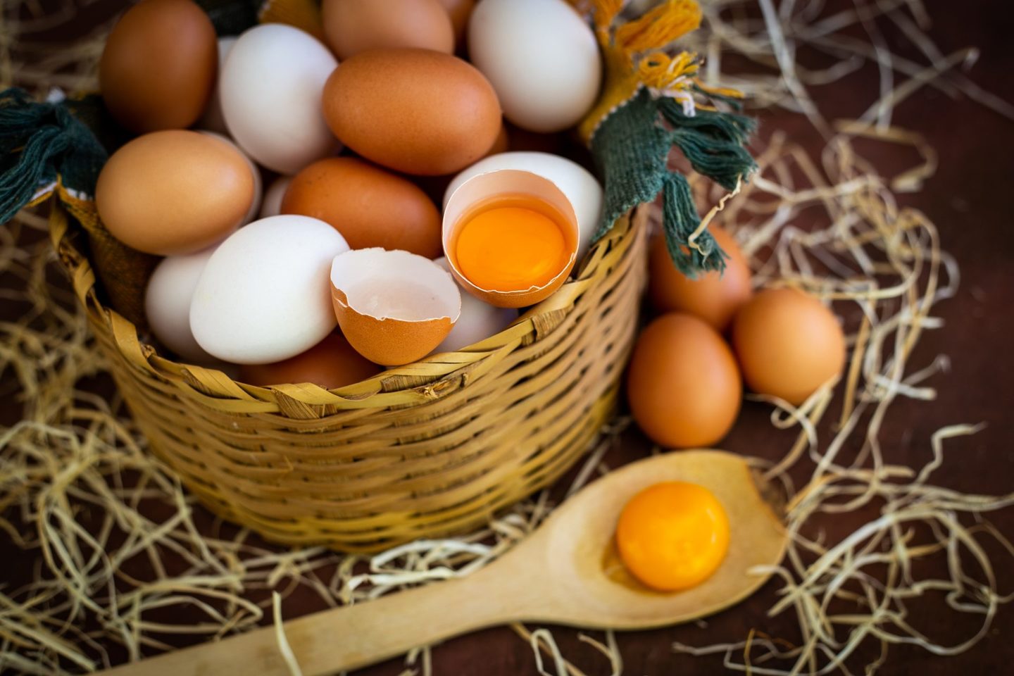 FOTOGRAFIA GASTRONÔMICA/ PUBLICIDADE/ STILL